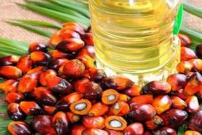 GIMNI Dukung Harga Migor Kemasan Diatur