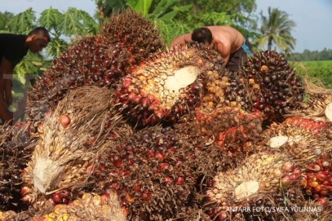 Harga CPO Memoles emiten kebun
