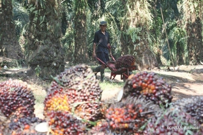 Produksi sawit PTPN III tumbuh pesat