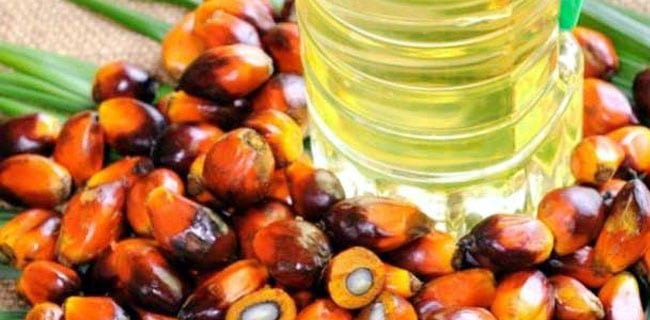 26 Industri Bakal Serap Sawit Hasil Replanting