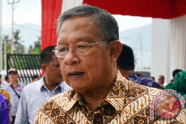 Menko Perekonomian: Peremajaan Sawit Upaya Tingkatkan Produksi