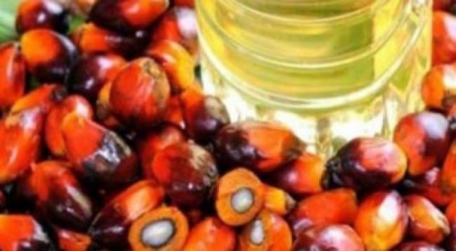 INDUSTRI HILIR SAWIT NASIONAL TELAH HASILKAN 154 PRODUK