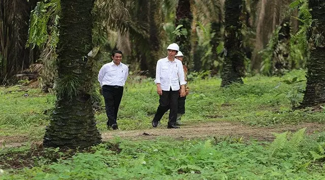 Jurus Pengusaha RI Perangi Kampanye Hitam Sawit