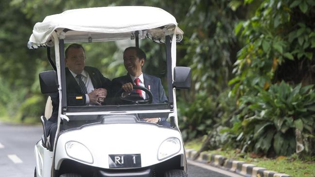 Jokowi Minta Dukungan Denmark Lawan Kampanye Hitam Sawit