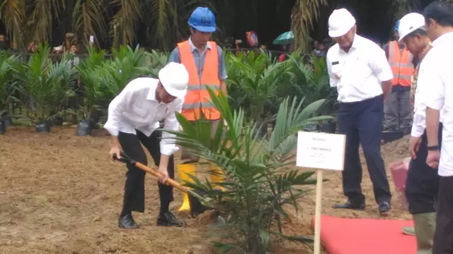 Lawan Kampanye Hitam Sawit oleh Eropa, Ini Pembelaan RI