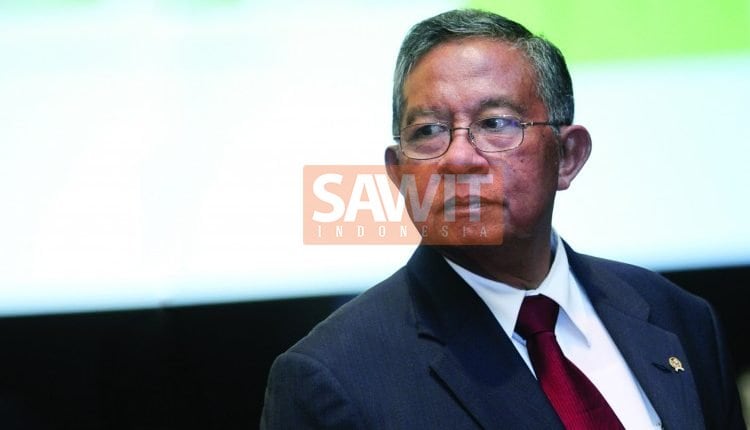 Darmin Nasution, Menteri Koordinator Perekonomian Memperkuat Tata Kelola Industri Sawit