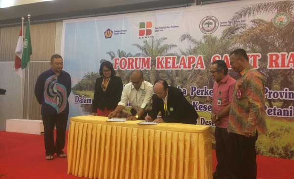 Ratusan Ribu Hektre Sawit Di-Replanting