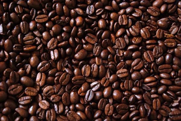 RI Genjot Ekspor Kopi dan Sawit ke Mesir