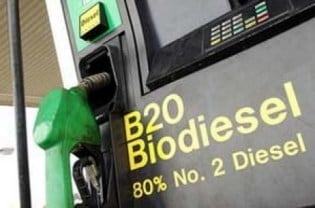Pemanfaatan Biodiesel RI Lebih Baik dari Malaysia