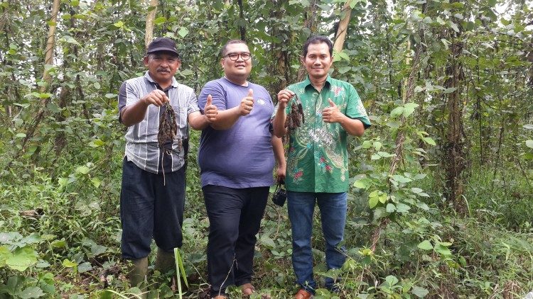 Perkebunan Kelapa Sawit Ikuti Regulasi