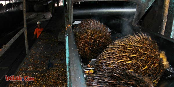 Saudara Tua Kepincut Bangun Industri Limbah Sawit