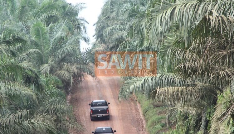 Hutan Dan Deforestasi Global (Tamat)