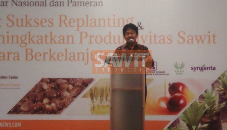Replanting Upaya Membenahi Perkebunan Sawit