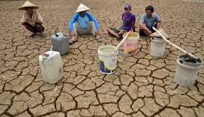 Perkebunan Kelapa Sawit Bukan Penyebab Bencana Kekeringan