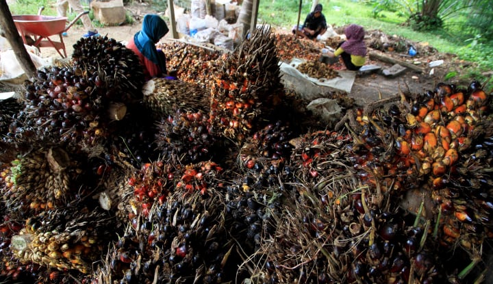 Indonesia Sampaikan Keprihatinan Soal Sawit Kepada Italia