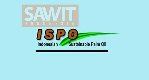 Tata Kelola Perkebunan Kelapa Sawit Di Indonesia Berkelanjutan Dari Perusahaan Sampai Petani