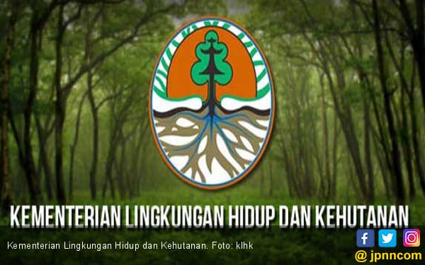 Parlemen Uni Eropa Apresiasi Pengelolaan Sawit Indonesia