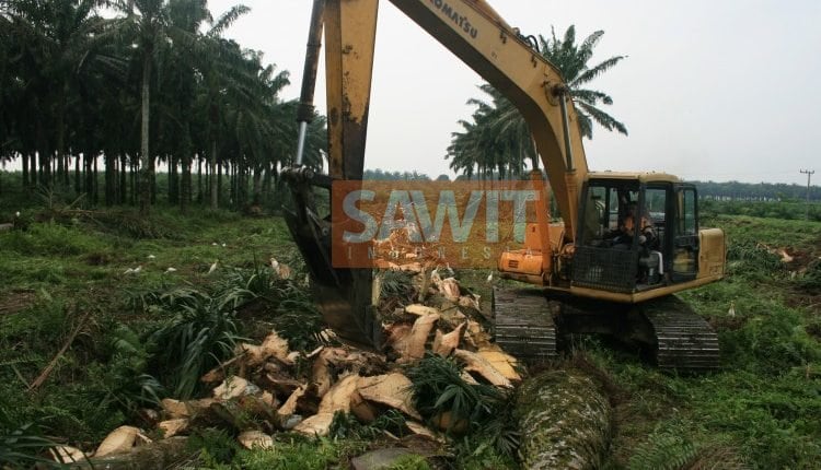 Resolusi Sawit Sulit Diimplementasikan Di Uni Eropa (Bagian IX)