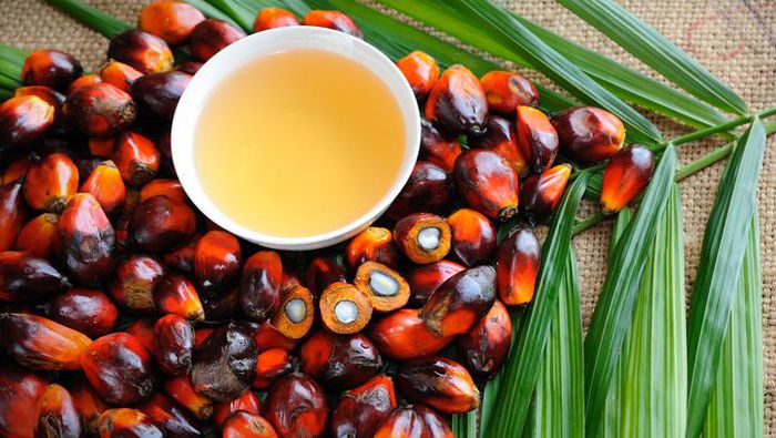 RI Protes, Jaringan Supermarket Inggris Larang Produk Minyak Sawit