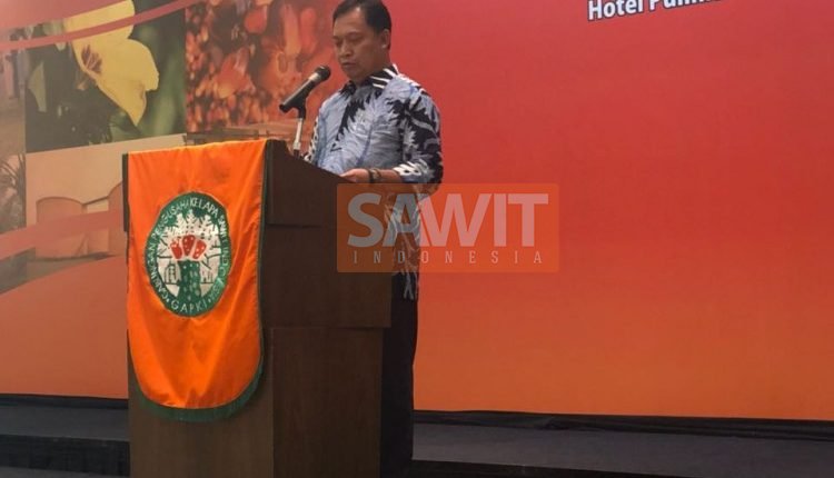 Industri Sawit Hadapi Tiga Tantangan Di Masa Depan