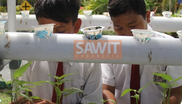 Peran Industri Sawit Dalam Pendidikan
