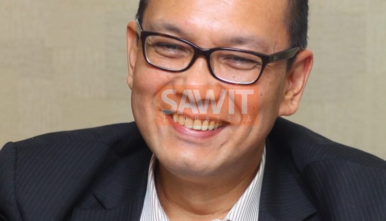 Tantangan Peremajaan Sawit Rakyat