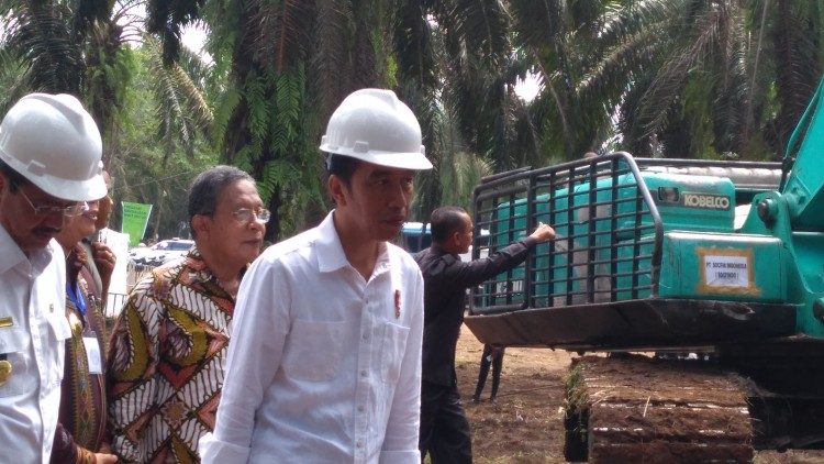 Masa Depan Perkebuna Sawit Ditangan Rakyat