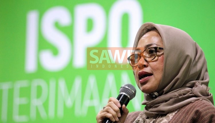 Penguatan ISPO Butuh Konsolidasi Pemangku Kepentingan