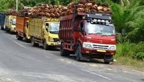 Produktivitas Dan Penggunaan Dana Sawit