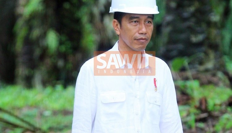 Presiden Jokowi Akan Resmikan Replanting Sawit 25.423 Ha Di Riau