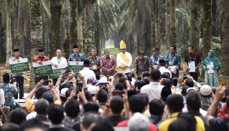 Presiden Jokowi Serahkan Bantuan Replanting Kepada KUD Subur Makmur