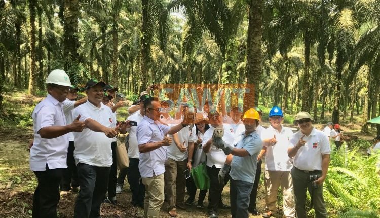 BPDP-KS Dan Kemenlu Fasilitasi Edukasi Sawit Kepada Diplomat Indonesia