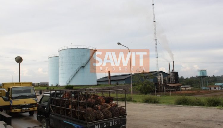 China Merupakan Pasar Biodiesel Yang Menjanjikan
