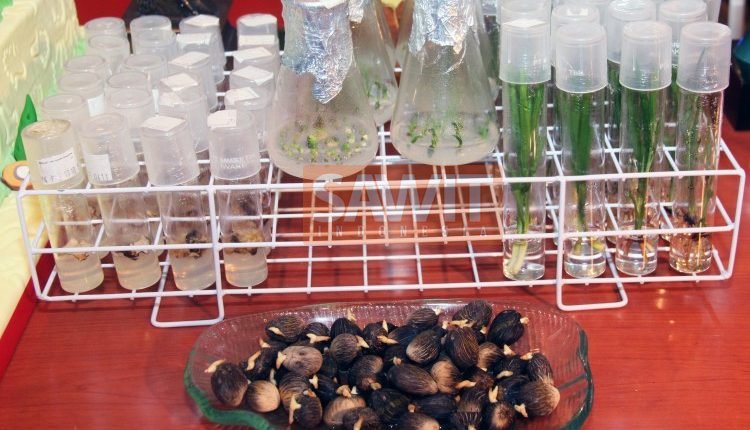 Riset Tulang Punggung Industrialisasi