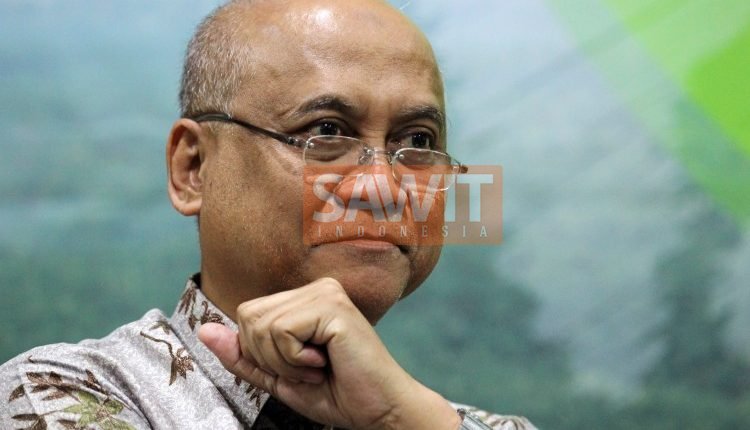 ISPO Memperkuat Posisi Sawit Di Pasar Global