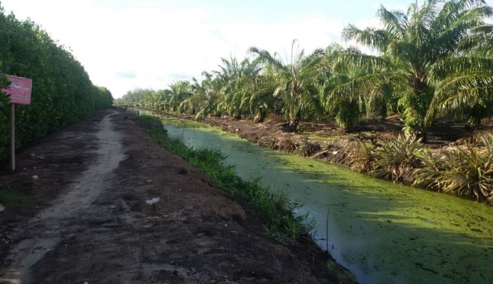 Jadikan Kebun Sawit Sebagai Objek Vital