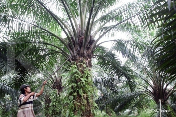 Biofuel sawit diperbolehkan Uni Eropa, sustainabilitas lahan sawit harus digalakkan