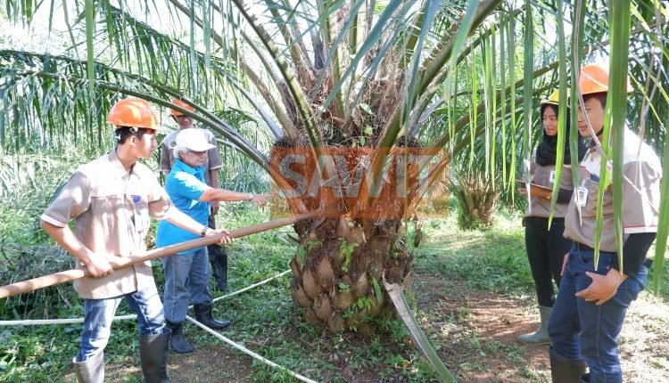 Instiper Siap Hadapi Revolusi Industri Generasi 4.0