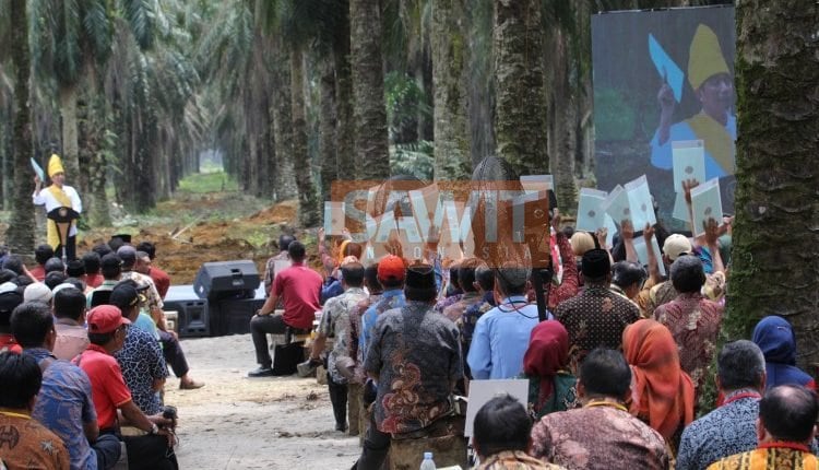Presiden Jokowi Datang, Petani Riau Semangat Remajakan Sawit
