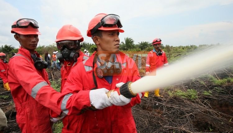 Perkebunan Kelapa Sawit Dalam Fenomena Kebakaran Hutan Dan Lahan