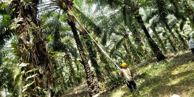 Pengusaha yakin Vatikan akan dukung Indonesia Perangi boikot CPO