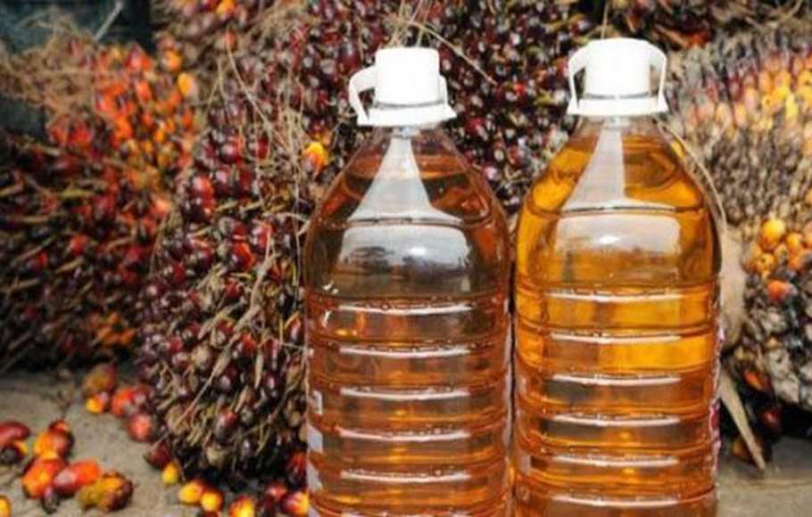 Produksi CPO Mampu Tembus 21 Juta Ton Semester Pertama 2018