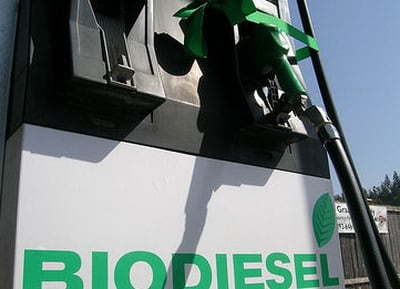 Produsen Biofuel Dukung Percepatan Mandatori Biodiesel