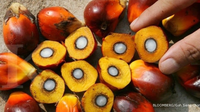 Pemerintah Laksanakan Kajian Komprehensif Terkait B30
