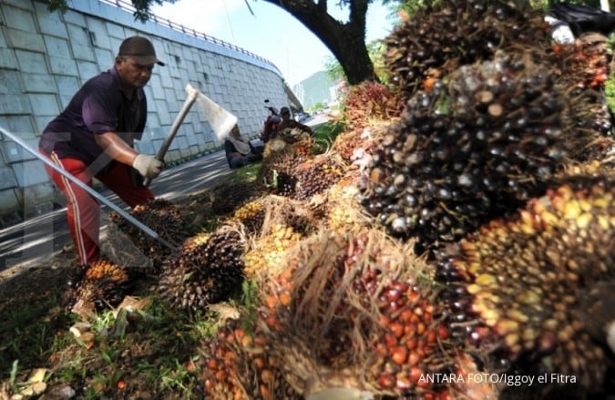 GIMNI: Penambahan pembelian kedelai Uni Eropa tak berefek besar pada sawit Indonesia