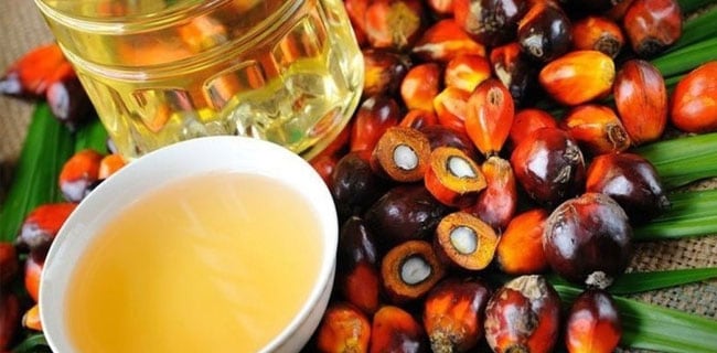 Penerapan Biodisel 30% Bisa Dipercepat 2019