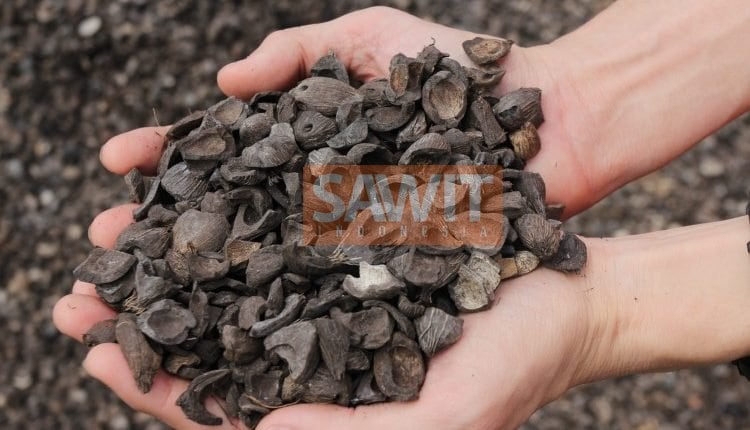 GIMNI: Minyak Nabati Eropa Terindikasi Dumping