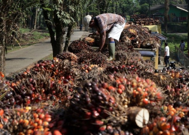 Pemerintah Targetkan Kandungan Biodiesel 100%