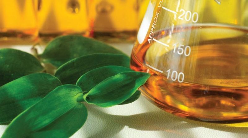 Industri Biodiesel Mulai Panas Lagi
