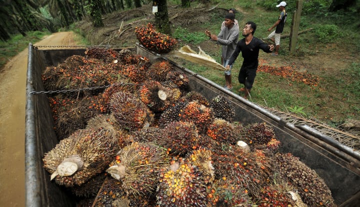 Produsen Minyak Goreng Ogah Nambah Vitamin A Karena Alasan Ini